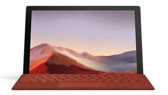 大丰镇清洁和维护 Surface